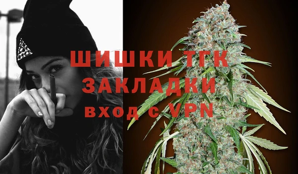 ПСИЛОЦИБИНОВЫЕ ГРИБЫ Лабытнанги