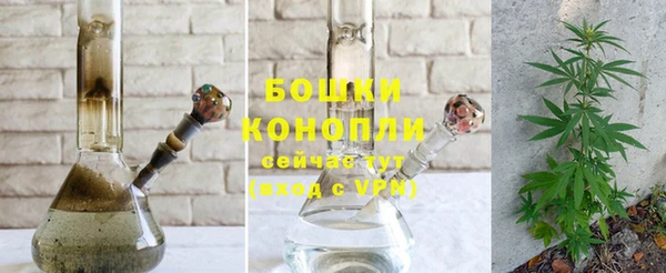 ПСИЛОЦИБИНОВЫЕ ГРИБЫ Лабытнанги