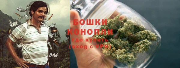 ПСИЛОЦИБИНОВЫЕ ГРИБЫ Лабытнанги